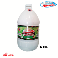 Bactericída Spa 5 Litros