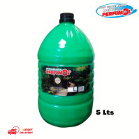 Desodorante Bosque Verde 5 Litros